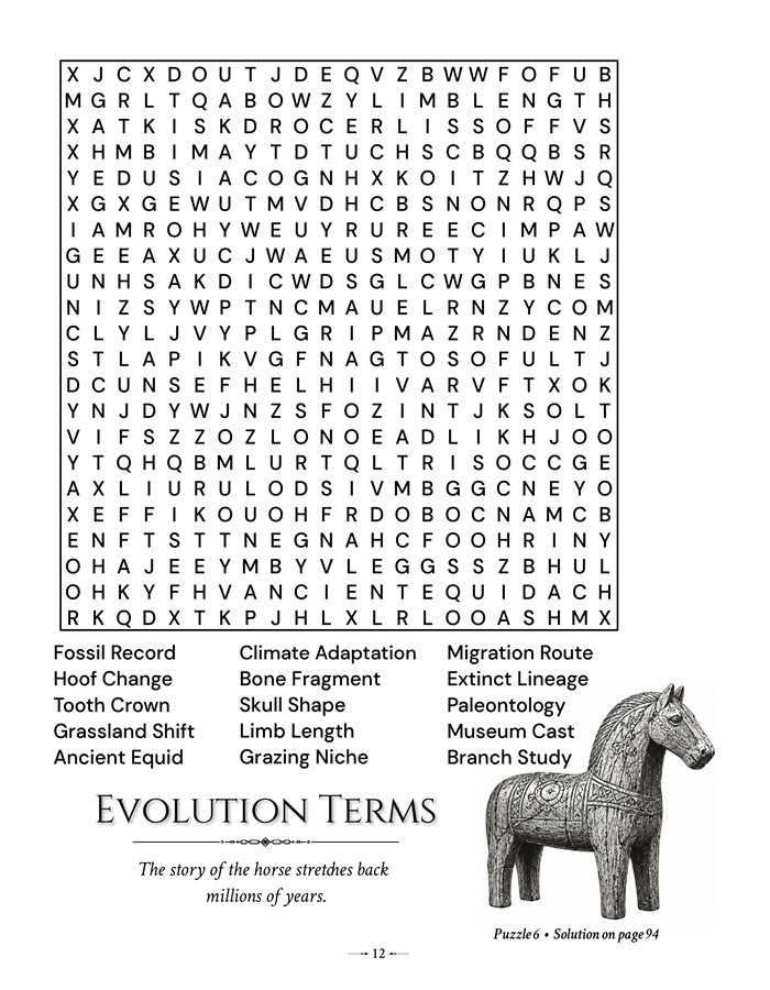 An illustrated puzzle page from the premium horse puzzle book